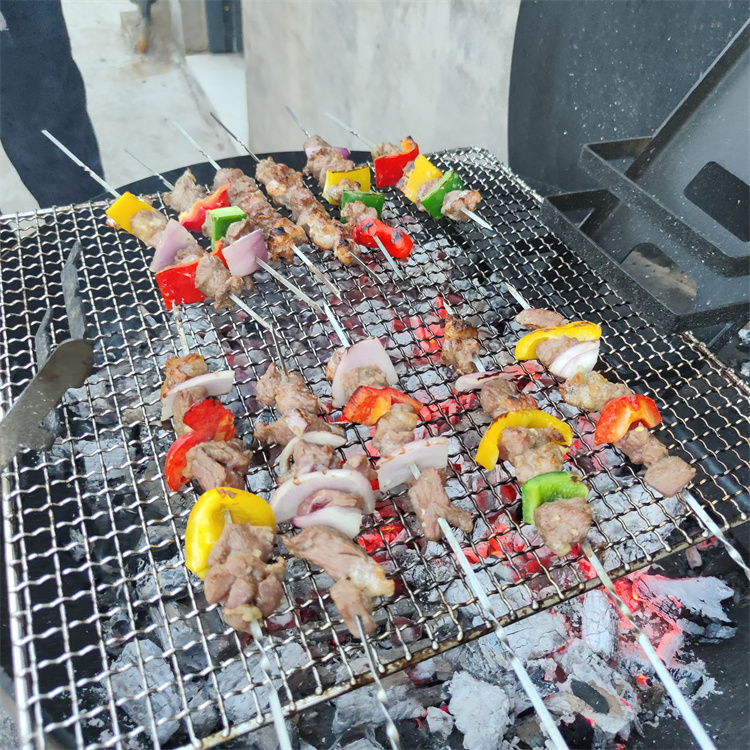 Montage mural jardin extérieur arrière-cour pliables grillades barbecue