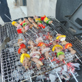 Steel Small Barbecue Grill