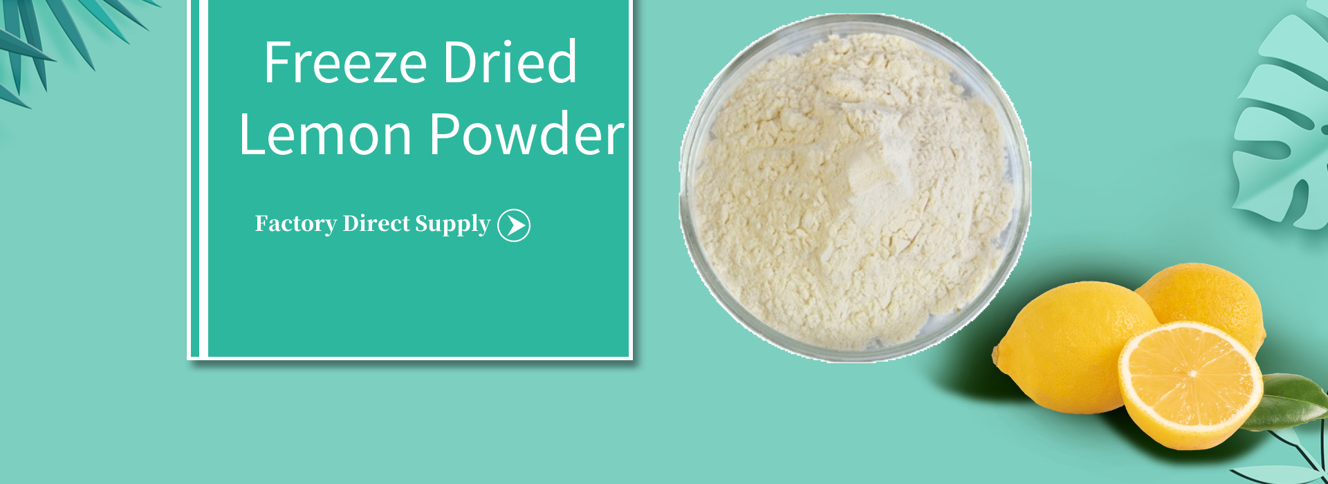 Freeze Dried Lemon Juice Powder