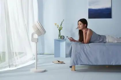 Double Blade Pedestal Fan White with Remote Control