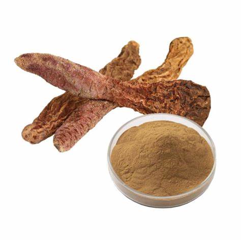 Healthcare Supplement Cynomorium extract