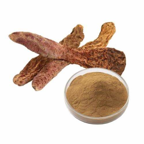 Healthcare Supplement Cynomorium extract
