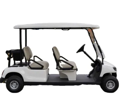 6 Seater Electric Sightseeing Bus - Antique Vintage Electric Sightseeing Car