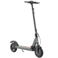 Powerful 350W Motor Electric Scooters for Commuter