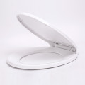 Siphon flush one piece smart toilet cover