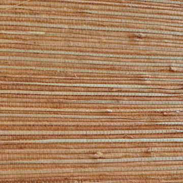 Revêtement mural moderne en papyrus Boodle pour des intérieurs élégants