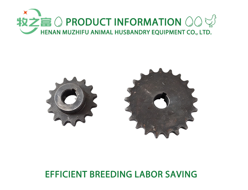 Industrial Drive Chain Sprocket x