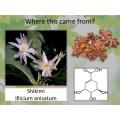 Natural Star Anise Extract Powder 98% Shikimic Acid