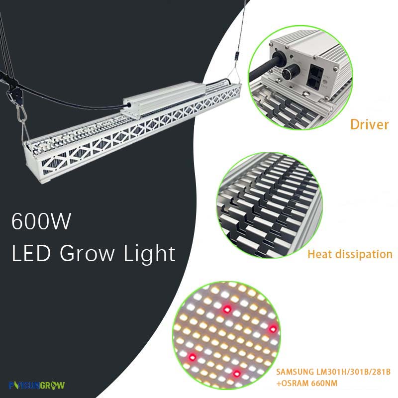 led grow light