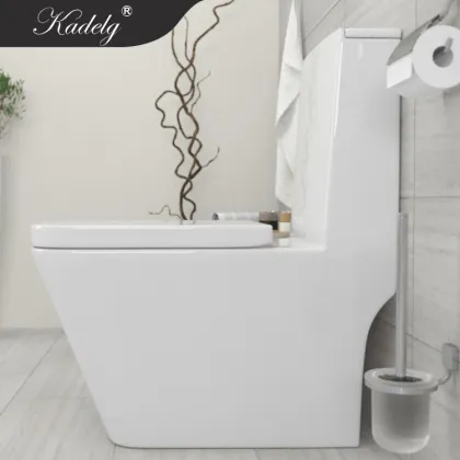 European Style Furniture Washdown Toilet