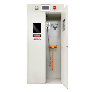 Full-Steel Explosion Proof Gas Cylinder Cabinet för H2