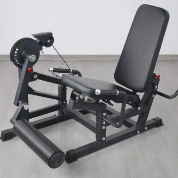Fitnessgeräte: Plattenladenbeinverlängerung und Curl -Maschine - Verkauf