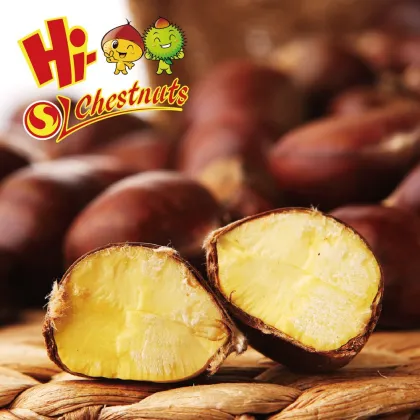 Hot selling big size Chinese Chestnuts--Tai an chestnuts