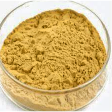 Ligustilide for Immune Enhancement Angelica Extract Angelica Sinensis Root Extract
