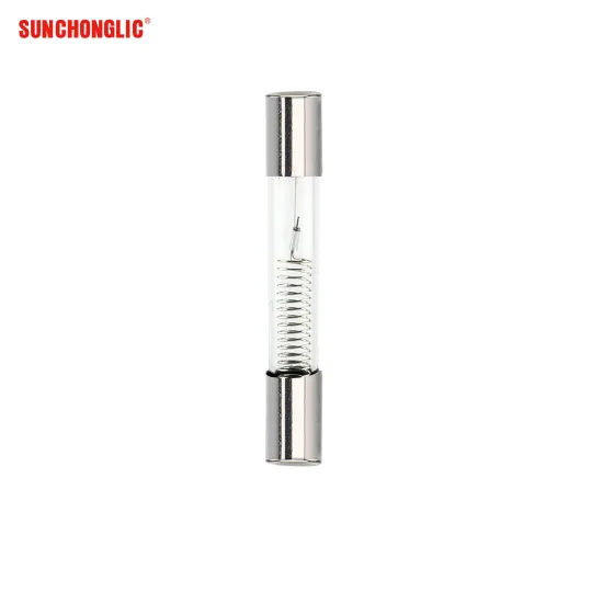 Sunchonglic Microwave Oven High Voltage Fuse 0.9A Fast Blow Replacement