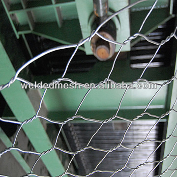Anping hexagonal wire netting(manufacture and supplier)