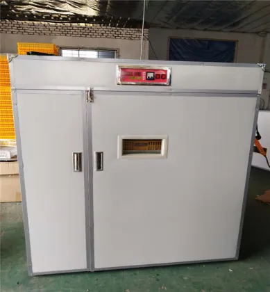 Large Capacity Fully Automatic Duck and Chicken Hatching Machines - 200 to 10000 Egg Incubators