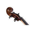 Spruce and Maple Solid Wood Violin