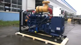 Biomass gas generator
