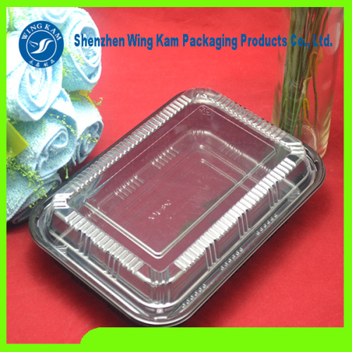 Rectangle Hot Sale Bento Manufacturer Tray