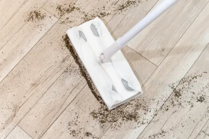Convenient Mopping Wipes for Daily Cleaning