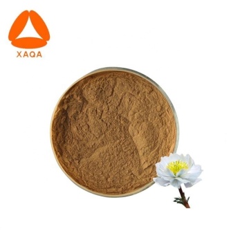 Vegan Snow lotus powder Saussurea involucrata extract 30:1