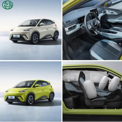 2025 BYD Seagull Pure Electric Cars - New Energy Vehicle Options