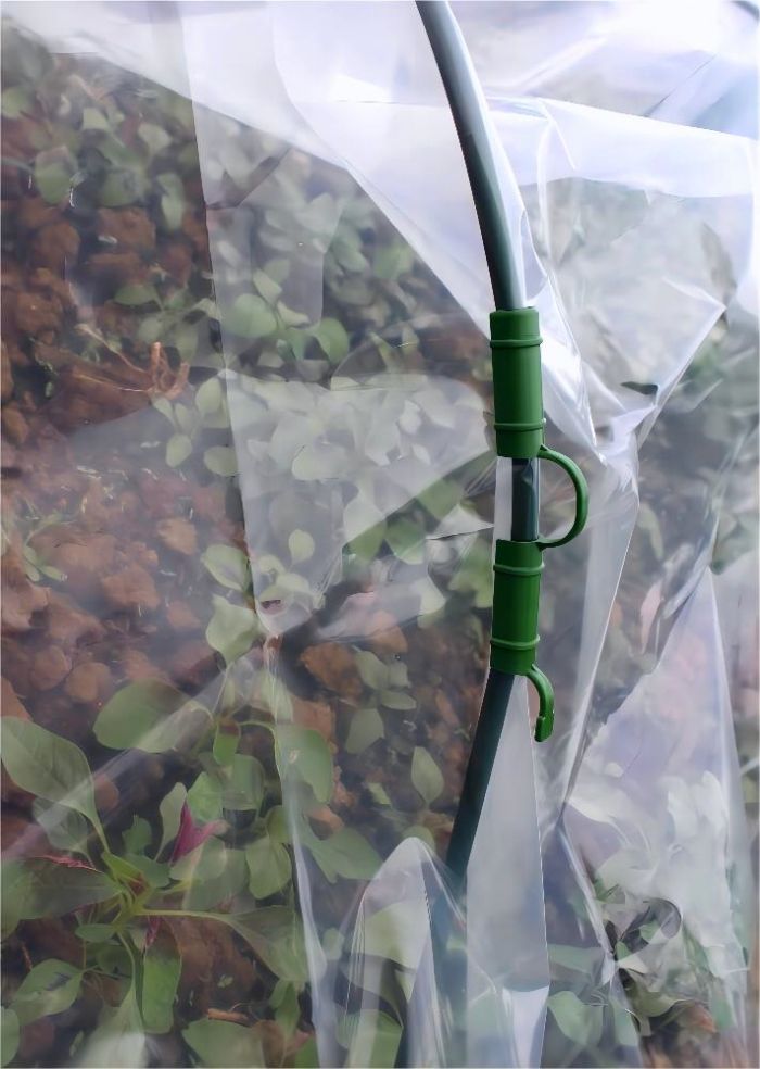 Clips en plastique en serre du jardin