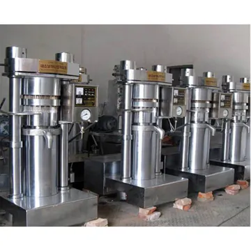 Agricultural Machinery Pumpkin Seed Cacao Walnut Sesame Oil Extraction Hydraulic Olive Oil Press Machine