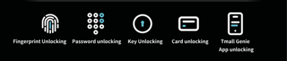 Digital Lock With Camera