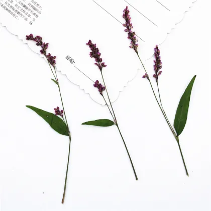 Rose Lily Safflower DIY Flower Art Pack