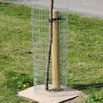 Welded Wire Mesh Aperture 1.2m x 300mm Diameter for Tree Guards