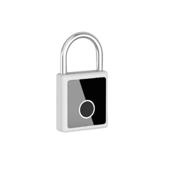 High-Security Smart Electronic Padlock with Biometric Feature in Silver Zinc Alloy