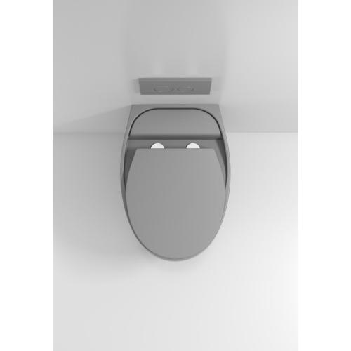 Bathroom Sanitary Ceramic Washdown Wall-hung Water Closet