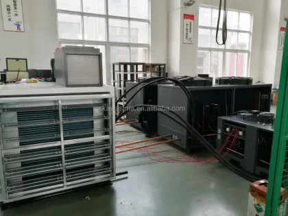 DX Cooling Desiccant Rotor Wheel Dehumidifier for Food Industry