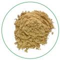 Wholesale organic water soluble instant ginger powder