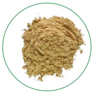 Wholesale organic water soluble instant ginger powder