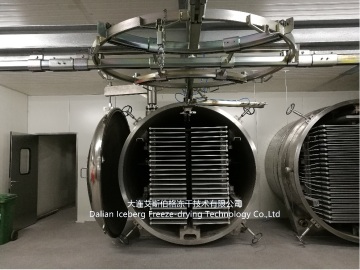2X168 Lyophilizer Double Door Atlas Type