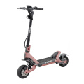 Offroad Electric Scooter 2 Wheel 1200W*2