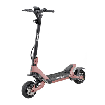 scooter électrique hors route 2 roue 1200w * 2