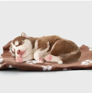 Amazon Hot Sale Pet Blanket Dog paw print pet blanket ( Roll it up in coloured paper )