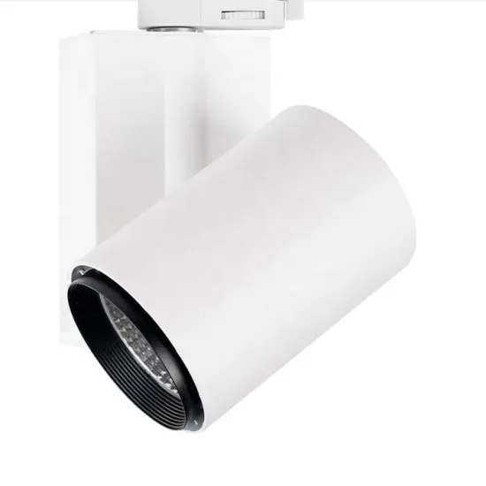 Guangzhou Hotel Office Club Shop Aluminum Dimmable Tilt Track Light 30W COB LED Spot Ceiling Light