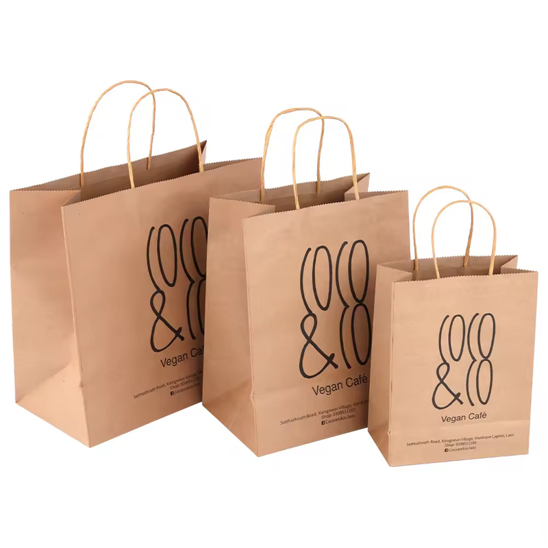Paper Bag-zhutu-1