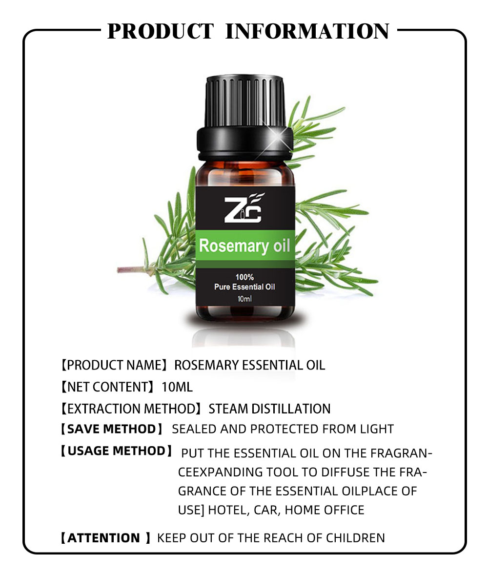 High Quality Rosemary Essential Oil for Hair Growth