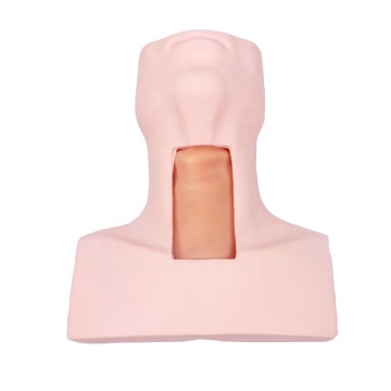 DARHMMY Advanced Cricothyroid Puncture and Tracheotomy Intubation Manikin Training Model