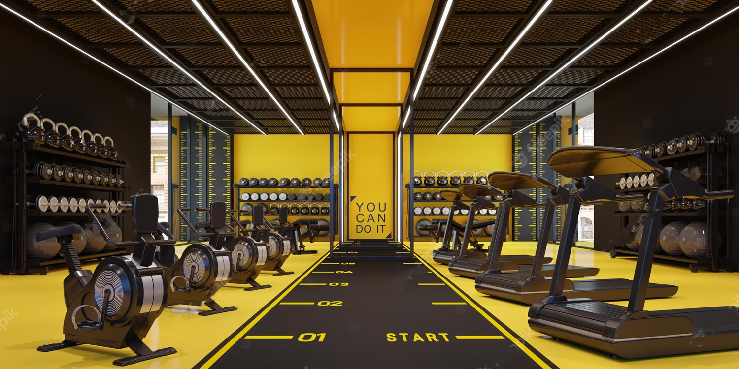 How are Gym Equipment designed