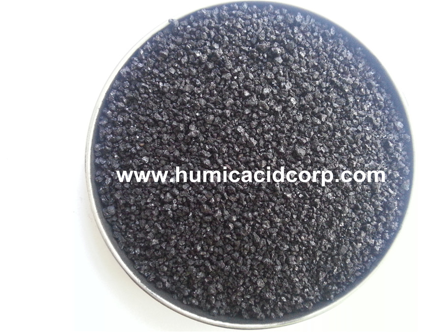 Potassium Humate From Xinjiang Leonardite