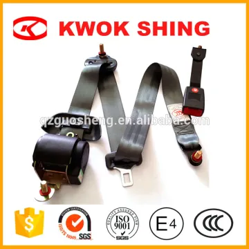 Hot sale low cost competitive auto 3 point car seat belt