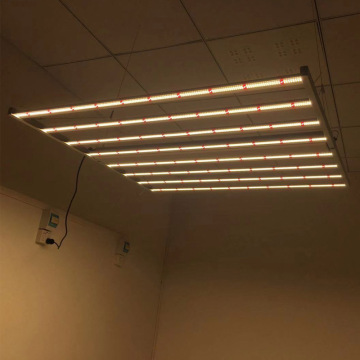 600W LED pliable Barbuler la lumière - spectre complet blanc et rouge pour les plantes