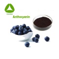 Anti-oxidant 10: 1 bosbessextract sappoeder